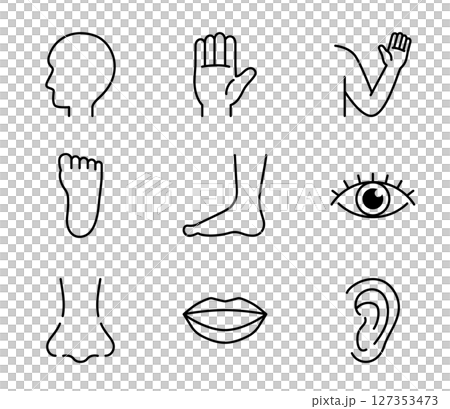 いろいろな体のパーツのシンプルアイコンセット　ベクター 127353473