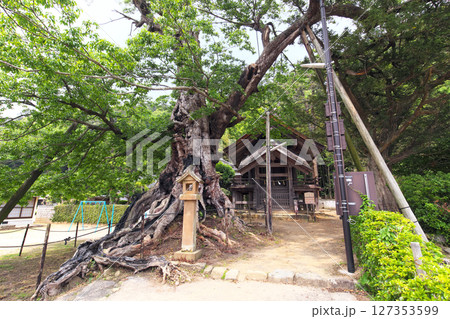 出雲市 命主社 神魂伊能知奴志神社 出雲市 命主社 神魂伊能知奴志神社 127353599