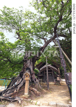 出雲市　命主社　神魂伊能知奴志神社 127353600