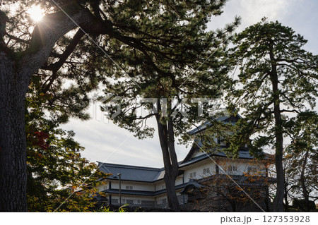View of Kanazawa Castle partially hidden behind tall pine trees with sun rays through branches 127353928