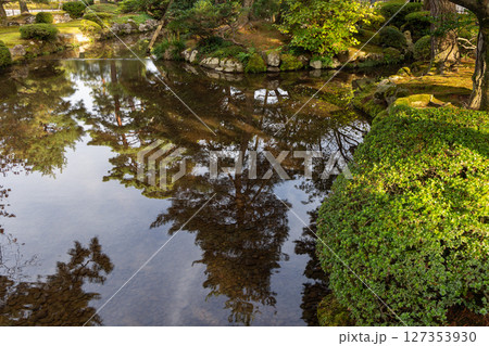 Clear pond water reflects pine trees, shrubs, and sky in a Japanese garden Clear pond water reflects pine trees, shrubs, and sky in a Japanese garden 127353930