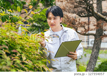 庭木を点検する男性作業員 127354057