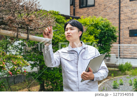 庭木を点検する男性作業員 庭木を点検する男性作業員 127354058