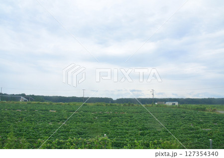 JR北海道、苫小牧駅から南千歳駅までの普通電車風景(2023年夏) 127354340
