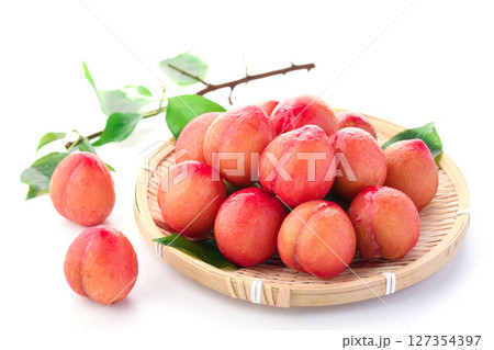 甘酸っぱくて美味しい　スモモ（ 早生 ）白背景 127354397