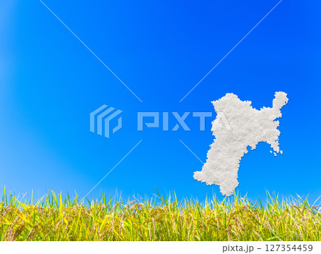 米で作った宮城県の地図 127354459