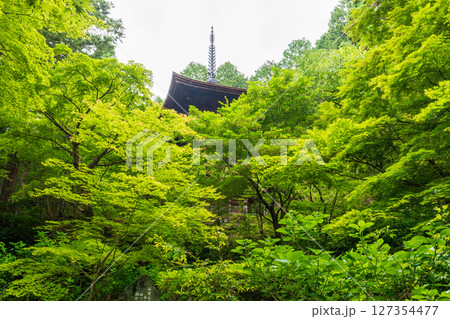 青々とした緑に囲まれた金剛輪寺の三重塔 青々とした緑に囲まれた金剛輪寺の三重塔 127354477