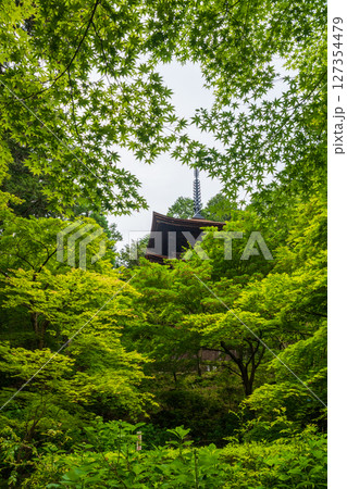 金剛輪寺の青もみじと三重塔 127354479