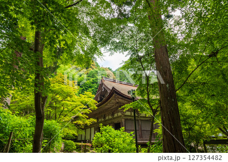 新緑に囲まれた金剛輪寺・金堂 新緑に囲まれた金剛輪寺・金堂 127354482