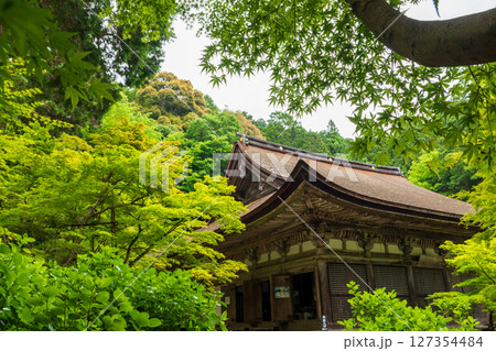 新緑の金剛輪寺・金堂 新緑の金剛輪寺・金堂 127354484