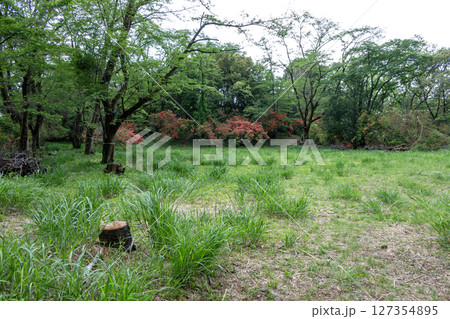 滝山城　二の丸大馬出 127354895