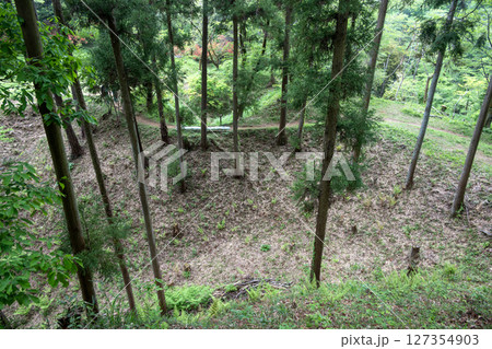 滝山城 二の丸馬出しと土橋 滝山城 二の丸馬出しと土橋 127354903