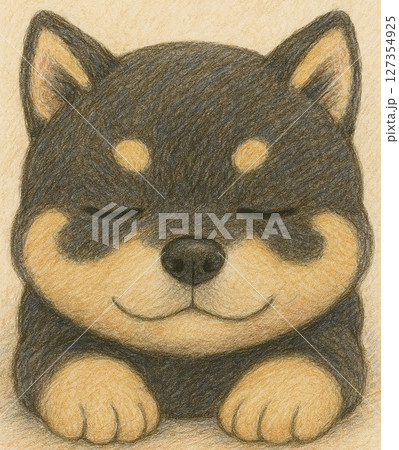 寝ている仔犬 寝ている仔犬 127354925