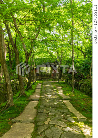 新緑の金剛輪寺・赤門 127355111