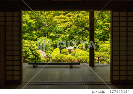 新緑の金剛輪寺の明寿院・庭園 新緑の金剛輪寺の明寿院・庭園 127355124