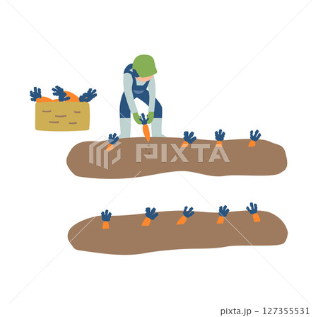 にんじんの収穫作業をする農家のイラスト 127355531