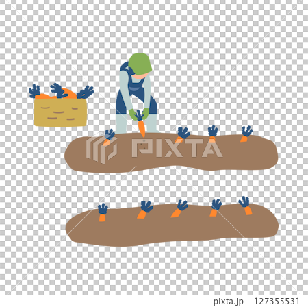 にんじんの収穫作業をする農家のイラスト 127355531