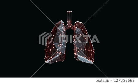 3d render of a vibrant, low-poly lungs over dark background 3d render of a vibrant, low-poly lungs over dark background 127355668