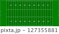 Football green field american football tournament, vector illustration field 127355881