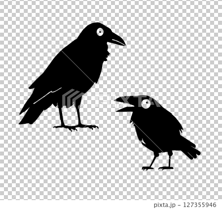 烏鴉 127355946