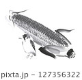 一羽の雀ととうもろこし 127356322