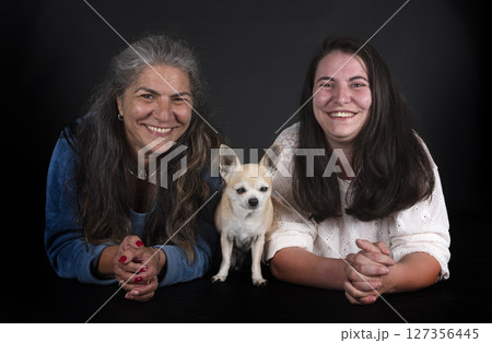chihuahua and women in studio chihuahua and women in studio 127356445