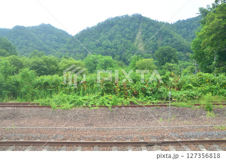 JR北海道、石勝線の追分駅から新夕張駅までの普通列車風景(2023年夏) 127356818