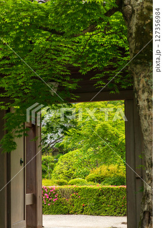 新緑の西明寺・惣門 新緑の西明寺・惣門 127356984