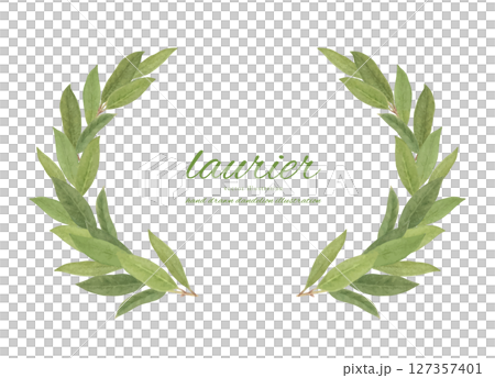 Watercolor laurel leaf frame Watercolor laurel leaf frame 127357401