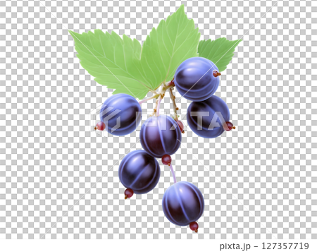 Gooseberries (Ribes uva-crispa) Tart, round berries with a green or reddish hue, used in jams, desserts, or eaten fresh. Common 127357719