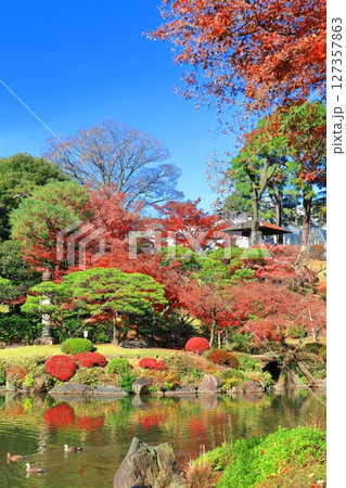 【東京都】快晴のシンメトリーな旧古河庭園の紅葉 127357863