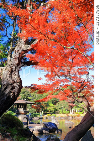 【東京都】旧古河庭園の雪見燈籠と紅葉 127357866