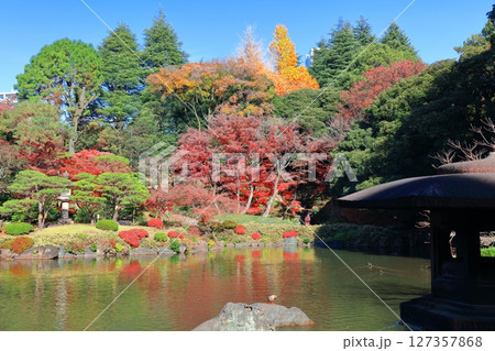 【東京都】快晴のシンメトリーな旧古河庭園の紅葉 127357868
