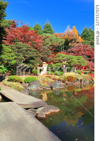 【東京都】旧古河庭園の石橋と紅葉 127357873