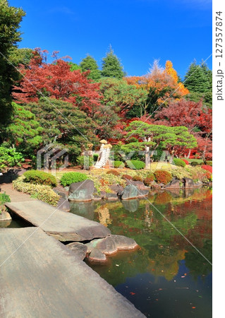 【東京都】旧古河庭園の石橋と紅葉 127357874