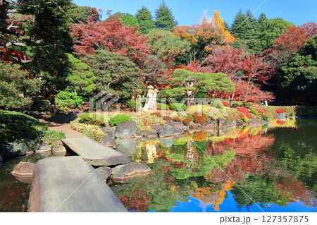 【東京都】快晴のシンメトリーな旧古河庭園の紅葉 【東京都】快晴のシンメトリーな旧古河庭園の紅葉 127357875