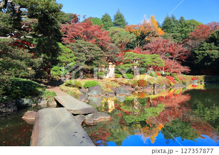 【東京都】快晴のシンメトリーな旧古河庭園の紅葉 127357877