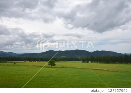JR北海道、石勝線の新夕張駅から新得駅までの風景(2023年夏) JR北海道、石勝線の新夕張駅から新得駅までの風景(2023年夏) 127357942