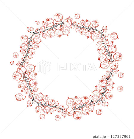 Currant gooseberry cluster bunch on stems, ripe garden berry casseille juneberry jostaberry, vector ink hand drawn. Isolated wreath frame. Home preserves, textile, fresh food store, vegan recipe cards 127357961
