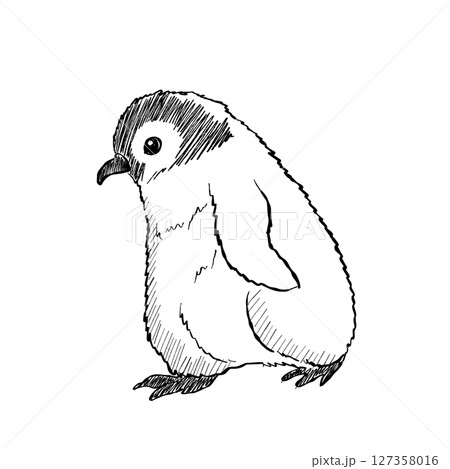 Cute cartoon sketch of baby penguin Vector Illustration 127358016