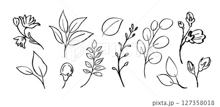 Botanical sketch collection of flowers and leaves 127358018