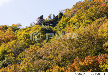 秋の小豆島 紅葉の寒霞渓 表十二景(通天窓) 秋の小豆島 紅葉の寒霞渓 表十二景(通天窓) 127358101
