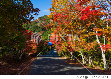 秋の小豆島 紅葉の寒霞渓 寒霞渓スカイライン 秋の小豆島 紅葉の寒霞渓 寒霞渓スカイライン 127358141