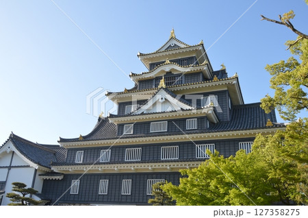 岡山城（岡山県岡山市北区） 127358275