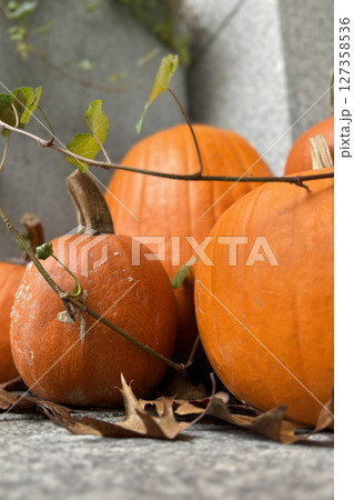 Closeup of orange pumpkins with dry leaves and ivy branches. 127358536