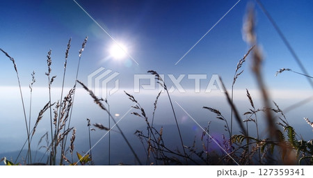 Grass field sunset Beautiful landscape with grasses meadow on sunlight. Countryside heaven amazing field scene grass meadow on sunbeam nature dawn. Sunset dawn landscape vibrant scenery horizontal 127359341