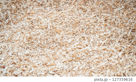 Sawdust heap spreading on the floor in wood workshop Sawdust heap spreading on the floor in wood workshop 127359616