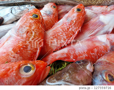 Essaouira fish market, Morocco 127359716