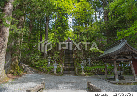 長野 戸隠神社 中社の境内風景 127359753
