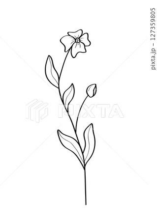 Sketch of a wildflower. Vector illustration of a spring flower icon. Isolate on white. 127359805
